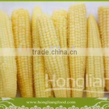 Supply Canned Whole Baby Corn