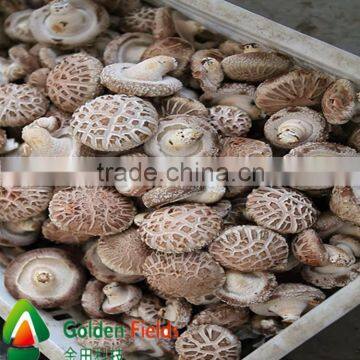 High Quality and Anti-cancer Wholesale Dried Shiitake Mushroom photo-6