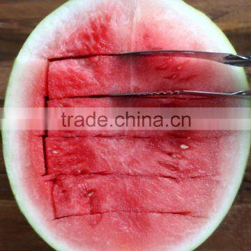 Melon Slicer Corer, Stainless Steel photo-4