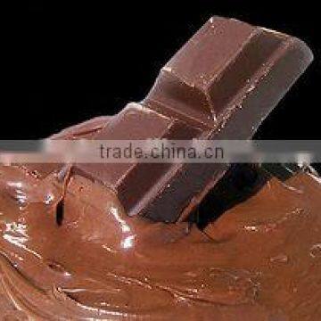 TBWG100 chocolate melter