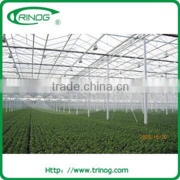 High Light Transmission Glass Greenhouse for Agriculture