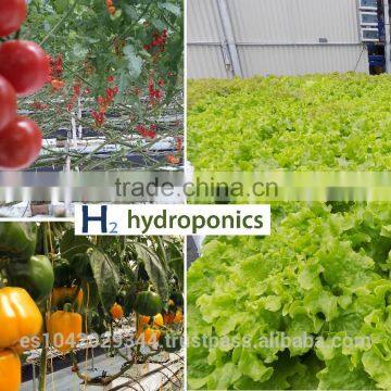 Commercial Greenhouses for Hydroponics Aquaponics and Aeroponics