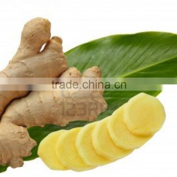 organic fresh ginger