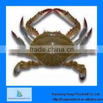 frozen crab blue swimming live crab seafood