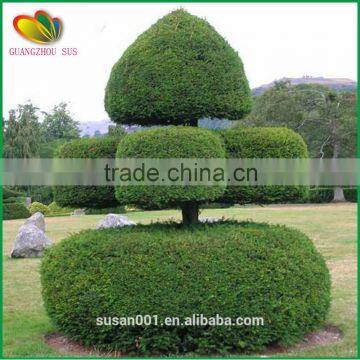 Customized Artificial Topiary Plastic Sculpture Garden Decor Arificial Plants Topiary photo-6