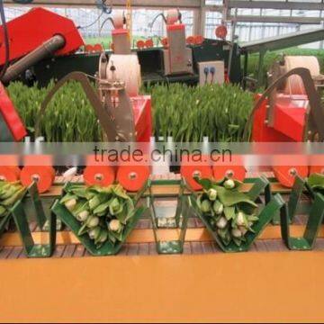 NWH13 Industrial Binding Elastic Thread of High Quality