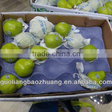 Paper Pulp Fruit Packaging Tray