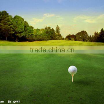 Wholesale Grass Artificial for Golf Synthetic Grass Carpet Artificial Grass