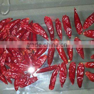 Yidu Chili, Yidu chili stemess, Yidu chili, Yidu chilli whole, red Yidu chili, new Yidu chili, Yidu chili dry