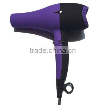 Salon Use Professional Hair Dryer Super Silent With AC Motor