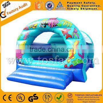 Cute Inflatable Bouncy House for Commercial A1133 photo-5