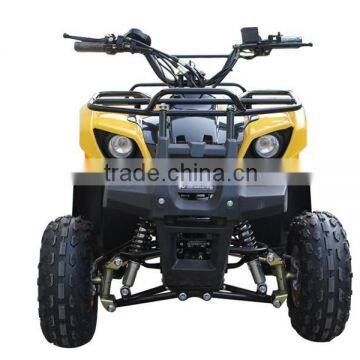 1000W Four Wheel Beach Buggy Amphibious Quad
