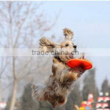 High Quality Silicone Foldable Pet Dog Frisbee , Colourful Pet Training Fetch Toy photo-2