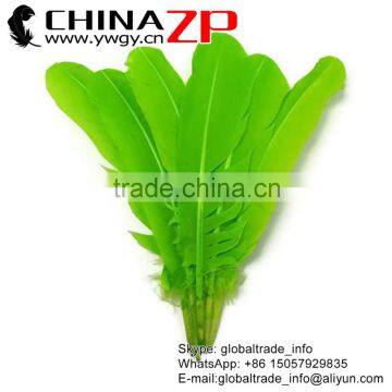 CHINAZP Wholesale Cheapest Bulk Dyed Lime Green Solid Color Turkey Feather for Fashion Decoration