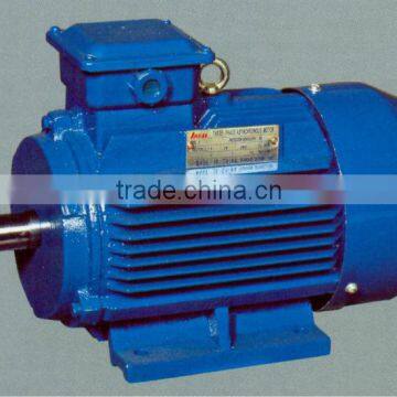 Y2 Series Three-phase Induction Motor (1)