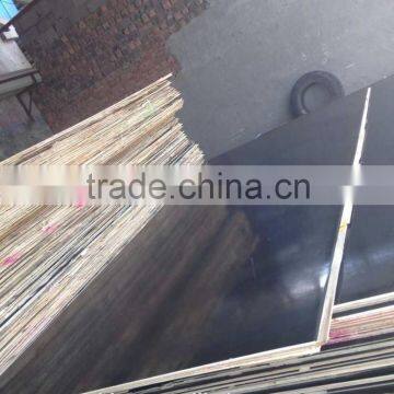 good quality black Film Faced Plywood from Shandong factory