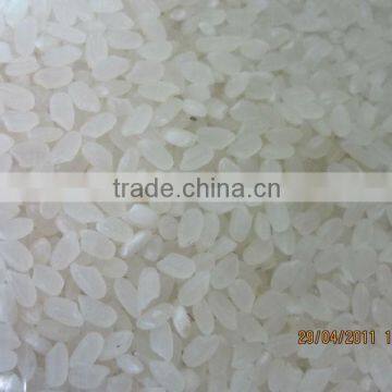 JAPONICA RICE 5% BROKEN GRADE B - BEST PRICE