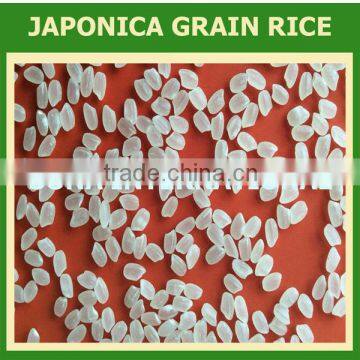 JAPONICA RICE 5% BROKEN - Sales3@vinarice.vn