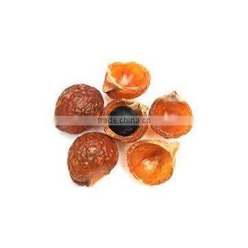 Soapnut/Saponin/Mukorossi Supplier /Exporter From China/Russia/India//Second Grade photo-3