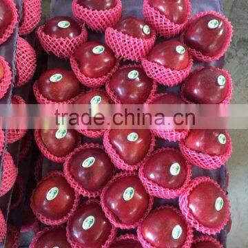 Fresh Apples photo-2