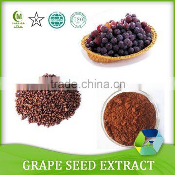 Antioxidant product Grape seeds extract and Grape seed powder extract