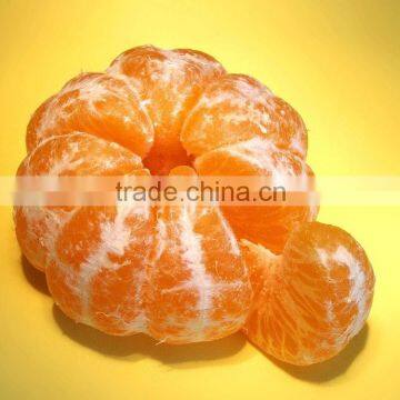 JUICY MANDARIN, FRESH KINNOW