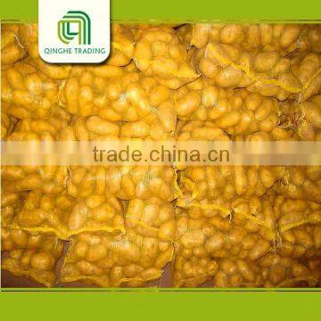 Farm Agra Potato