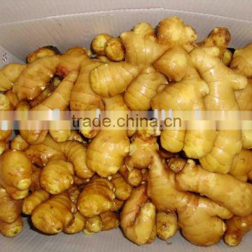 Good quality fresh ginger