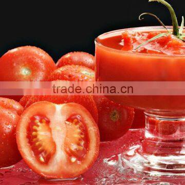 Tomato Paste 198g With Easy Open or Normal Open Lid Turkish Tomato Paste photo-4