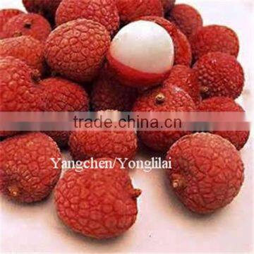 cannd fresh litchi fruit