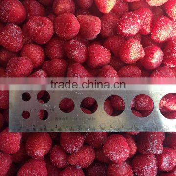 Frozen Strawberry photo-5