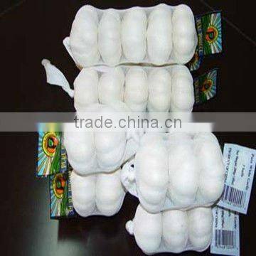 Chinese Pure White Garlic