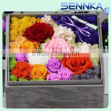 Preserved Eternal All Color Rose Ecuadorian 100% Fresh Natural Real Flower Gift