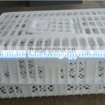 Plastic poultry transport cage/poultry cage manufacturer