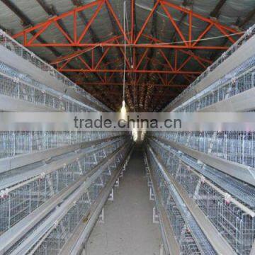 battery cages laying hens