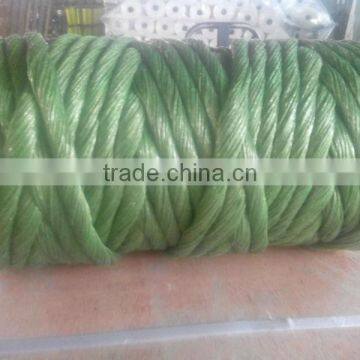 tomato twine sell to australia