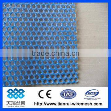 Plastic Plain Net /plastic Flat Net photo-3