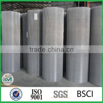 Galvanized Welded Wire Mesh Cheap photo-6