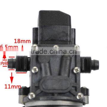 Hot Sale Car Wash Micro Diaphragm High Pressure Water Pump With Automatic Switch