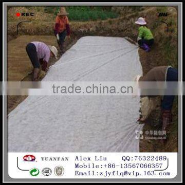 Welded PPSB Non Woven Fabric for Agriculture photo-4