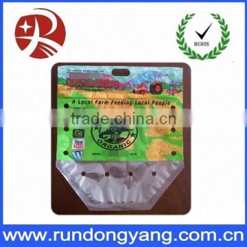 Stand Up Pouch Fruit packaging bag with handle