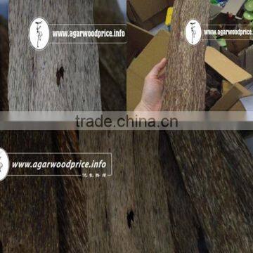Enjoy the Scent From Heaven With Vietnam Agarwood Chips, Super Gaharu, or Oud Wood photo-1