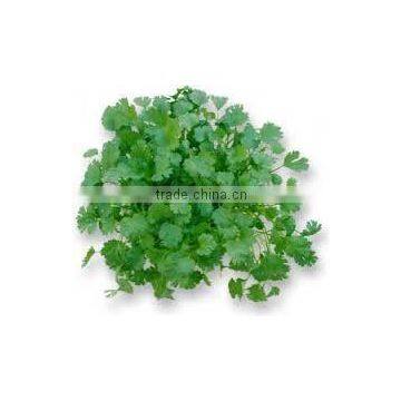 COARINDER OIL