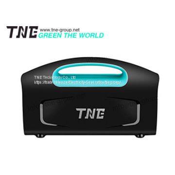 TNE Pure Sine Wave 500W Lithium Standby Backup Battery UPS System