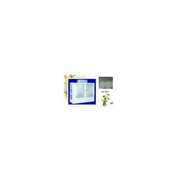 Ice Storage Bin with 2 doors 650L