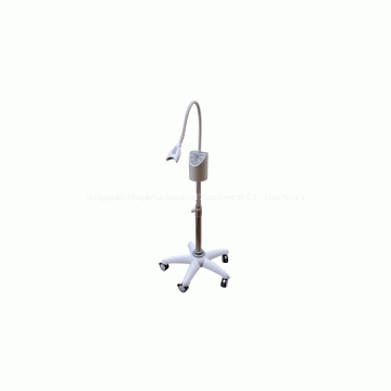 Professional Teeth Whitening Accelerator MD-666