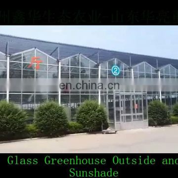 High Efficient Venlo Tempered Glass Greenhouse With Hydroponic Growing System