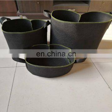 Colorful Felt Grow Pots photo-3