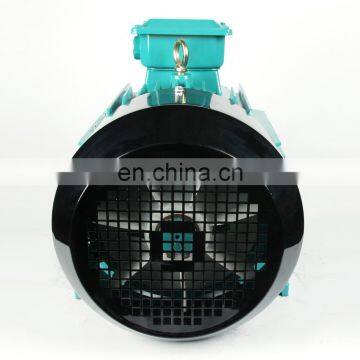 THREE PHASE ELECTRIC MOTOR photo-5