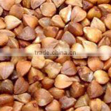 Organic Roasted Buckwheat Kernel
